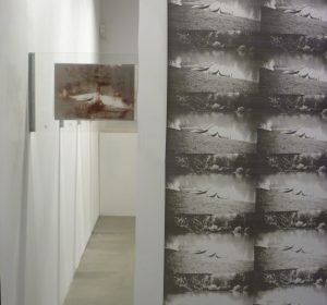 P1170069